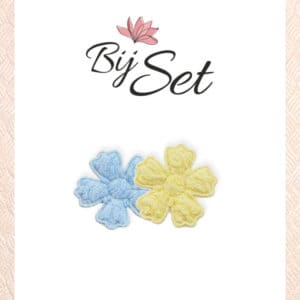 2 Bloemen blauw geel