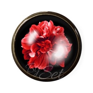 kleding accessoire broche